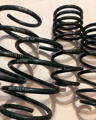 Molle ribassate H&R per Mini Cooper R50-52-53