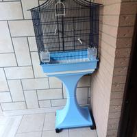 gabbia pappagallini canarini 