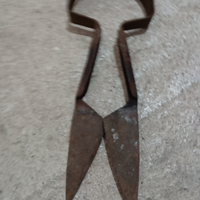 Antica tosatrice per pecore