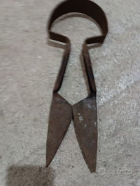 Antica tosatrice per pecore