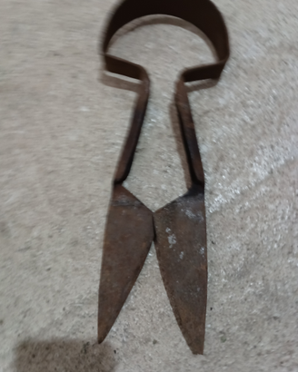 Antica tosatrice per pecore