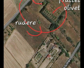 Terrono + rudere isola di sant'antioco