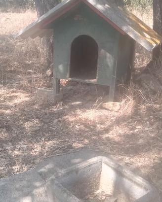 Cuccia  per Cani
