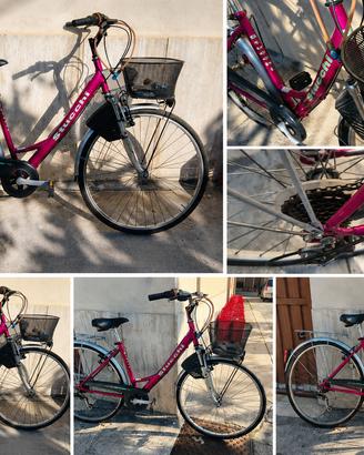 Bicicletta Olanda Stucchi 26" con cambio Shimano 6