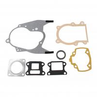 Serie guarnizioni motore Peugeot Zenith 753147