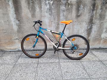 Mtb anni 90