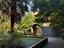 Immagine 20