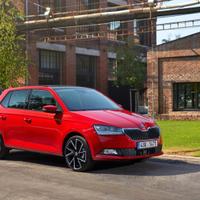 Ssr - ricambi skoda fabia (1)