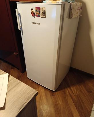 Figo Liebher (no congelatore solo frigo) lt. 214