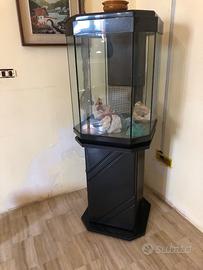 Acquario