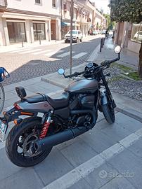 Harley-Davidson Street Rod - 2017