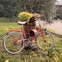 Bici graziella da restauro