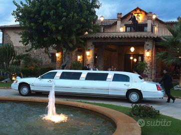 ford lincoln tow car limousine