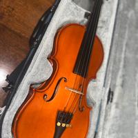 Violino