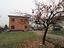 Immagine 8