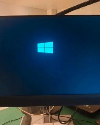 Monitor hp E243M