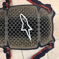 Paraschiena alpinestar