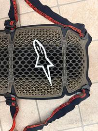 Paraschiena alpinestar