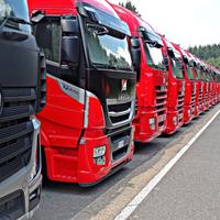 Gestore trasporti (preposto) conto terzi internaz