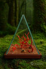 Composizione di corallo in teca