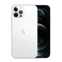 IPhone 12 Pro 5G 256Gb Silver (Argento)