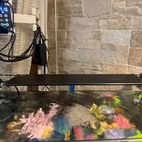Lampada led acquario 45 a 60 centimetri