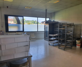 Attività alimentare panificio/pasticceria