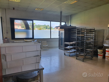 Attività alimentare panificio/pasticceria