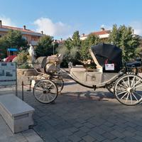 carrozza 