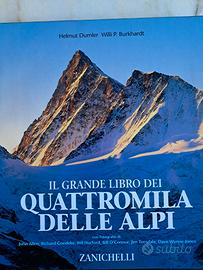 IL GRANDE LIBRO DEI QUATTROMILA DELLE ALPI