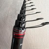 Daiwa amorphous power fuji sic 6 metri