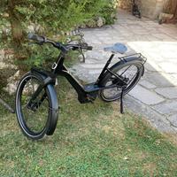 bicicletta elettrica HARLEY DAVIDSON