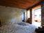Immagine 11