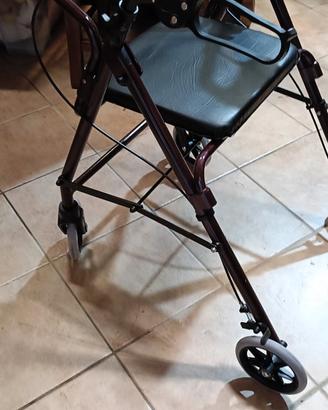 Carrello deambulatore