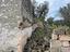 Immagine 25