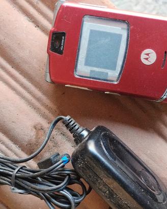 Motorola 
