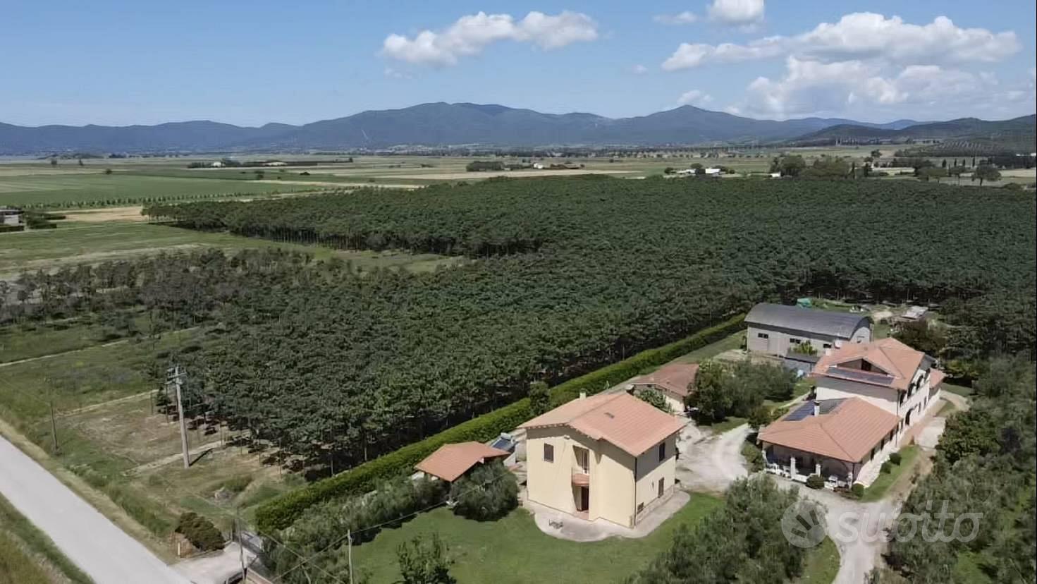 House in Castiglione della Pescaia, Marina, Grosseto - Vista 2