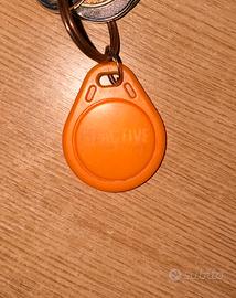 Fit active 1 anno
