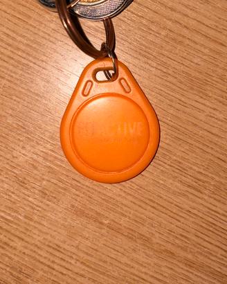 Fit active 1 anno