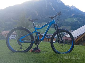 Haibike Q.AM