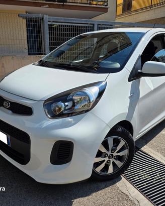 Kia Picanto 1.0 12V EcoGPL 5 porte Glam 11/2016