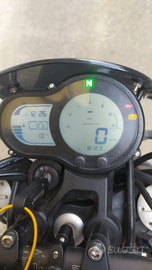 Benelli Leoncino Trail