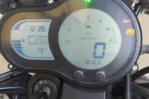 Benelli Leoncino Trail