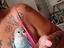 Immagine 4