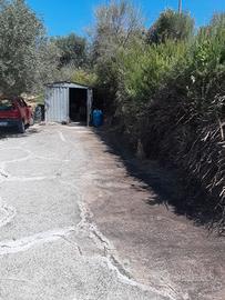 Terreno uliveto zona Fuondi Agropoli