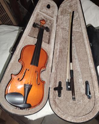 violino 
