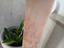 Immagine 5