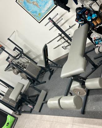 Palestra completa