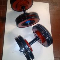 Manubri 20+20kg/pesi palestra con bordo gommato