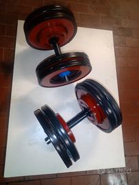 Manubri 20+20kg/pesi palestra con bordo gommato